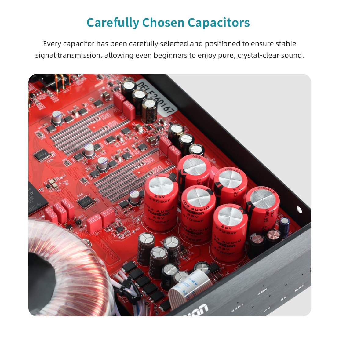 Musician Audio - DELPHINUS